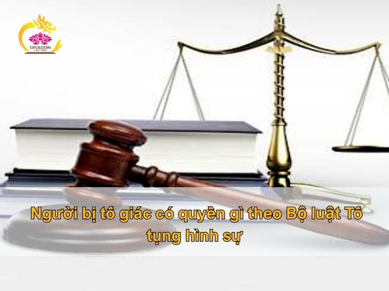 Người bị tố giác có quyền gì theo Bộ luật Tố tụng hình sự